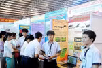 Dự thảo Thông tư sửa đổi Cuộc thi KHKT dành cho học sinh phổ thông có gì mới?