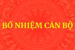 Thủ tướng quyết định bổ nhiệm lãnh đạo một số bộ, cơ quan