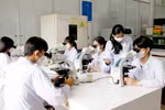 Nên miễn thuế cho hợp đồng nghiên cứu, phát triển giữa CSGDĐH và doanh nghiệp