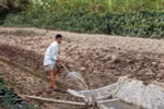 Cấp bách phòng, chống hạn hán, thiếu nước, xâm nhập mặn