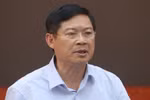 Nhiều nơi cắt sạch, tội nghiệp cây phượng!