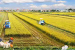 Tiếp tục thực hiện Nghị quyết Trung ương 7 về nông nghiệp, nông dân, nông thôn