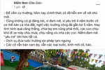 Nhiều trường mầm non tư thục đóng cửa vì dịch bệnh Covid-19 kéo dài