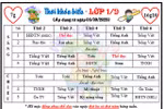Phụ huynh TPHCM quay cuồng với lớp liên kết tiếng Anh, kỹ năng sống 'tự nguyện'