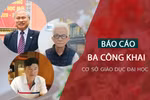 Thanh tra Bộ GD&ĐT cần "mạnh tay" xử lý trường ĐH chưa đăng tải 3 công khai 