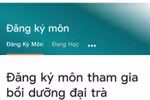 Đang căng mình dạy trực tuyến, giáo viên còn hơi sức đâu tập huấn 2 module