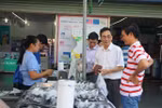 Lãnh đạo cùng ăn cá biển, dân háo hức đi mua cá, ngư dân vui mừng