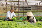 Tổng kết 15 năm đổi mới, phát triển, nâng cao hiệu quả kinh tế tập thể