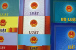 Thủ tướng phân công cơ quan soạn thảo văn bản thi hành 7 luật
