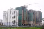 Xử lý vướng mắc khi triển khai một số luật lĩnh vực đầu tư, kinh doanh
