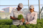 Thúc đẩy doanh nghiệp đầu tư vào nông nghiệp