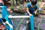 Khó khăn vì dịch bệnh, nhóm trẻ tư thục nhờ phụ huynh hỗ trợ trả lương giáo viên