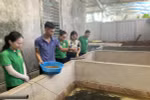 Khi có Luật GDNN, Trung tâm hỗ trợ nông dân gặp khó vì không được đào tạo nghề