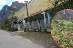 Nhói lòng hoàn cảnh của nữ giáo viên ở Hà Giang gặp nạn rơi xuống vực sâu