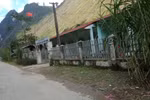 Công đoàn GDVN đề nghị xem xét chuyển công tác cho chồng cô giáo Mai Thị Yến