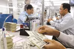Cá nhân chỉ đầu tư gián tiếp ra nước ngoài dưới hình thức thưởng cổ phiếu