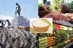 Thủ tướng Chính phủ chỉ đạo thúc đẩy sản xuất, lưu thông, xuất khẩu nông sản