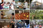 Đẩy mạnh thực hiện chính sách giảm nghèo bền vững nhân Ngày vì người nghèo VN