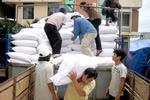 Chính phủ xuất cấp gạo cho tỉnh Thanh Hóa để cứu đói