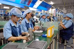 6 nhóm giải pháp phát triển bền vững doanh nghiệp tư nhân