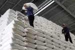 Hỗ trợ gạo cho 2 tỉnh Sóc Trăng, Nghệ An