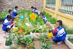 Hiệu trưởng nêu khó khăn khi tổ chức Hoạt động trải nghiệm, hướng nghiệp