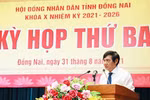 Phó Chủ tịch UBND Đồng Nai kiến nghị giải pháp phát triển GDMN ở khu công nghiệp