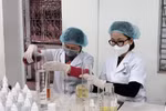 30 năm đại học vùng, đội ngũ GS, PGS, TS của Đại học Thái Nguyên tăng hơn 20 lần