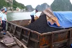 Nhức nhối xuất lậu khoáng sản
