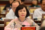 Nhiều cán bộ bị kỷ luật, kiến nghị miễn nhiệm chức vụ của bà Hồ Thị Kim Thoa