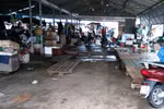 Chợ vắng hoe người bán cá biển