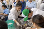 Số lượng bác sĩ thú y tốt nghiệp hàng năm không đủ đáp ứng nhu cầu xã hội
