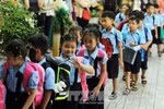 Sao gọi học sinh tựu trường sớm thế? 