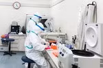 Giáo viên Sài Gòn giảm thu nhập tăng thêm nhưng vẫn vui!