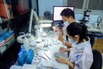 Chênh lệch điểm chuẩn giữa các CSGDĐH đào tạo ngành Sinh học ra sao?