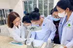 Cần “siết” đào tạo ngành Dược để tránh những lùm xùm về dược phẩm