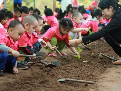Phê duyệt Đề án phát triển Giáo dục mầm non giai đoạn 2018 - 2025 ảnh 2 Phê duyệt Đề án phát triển Giáo dục mầm non giai đoạn 2018 - 2025 ảnh 2