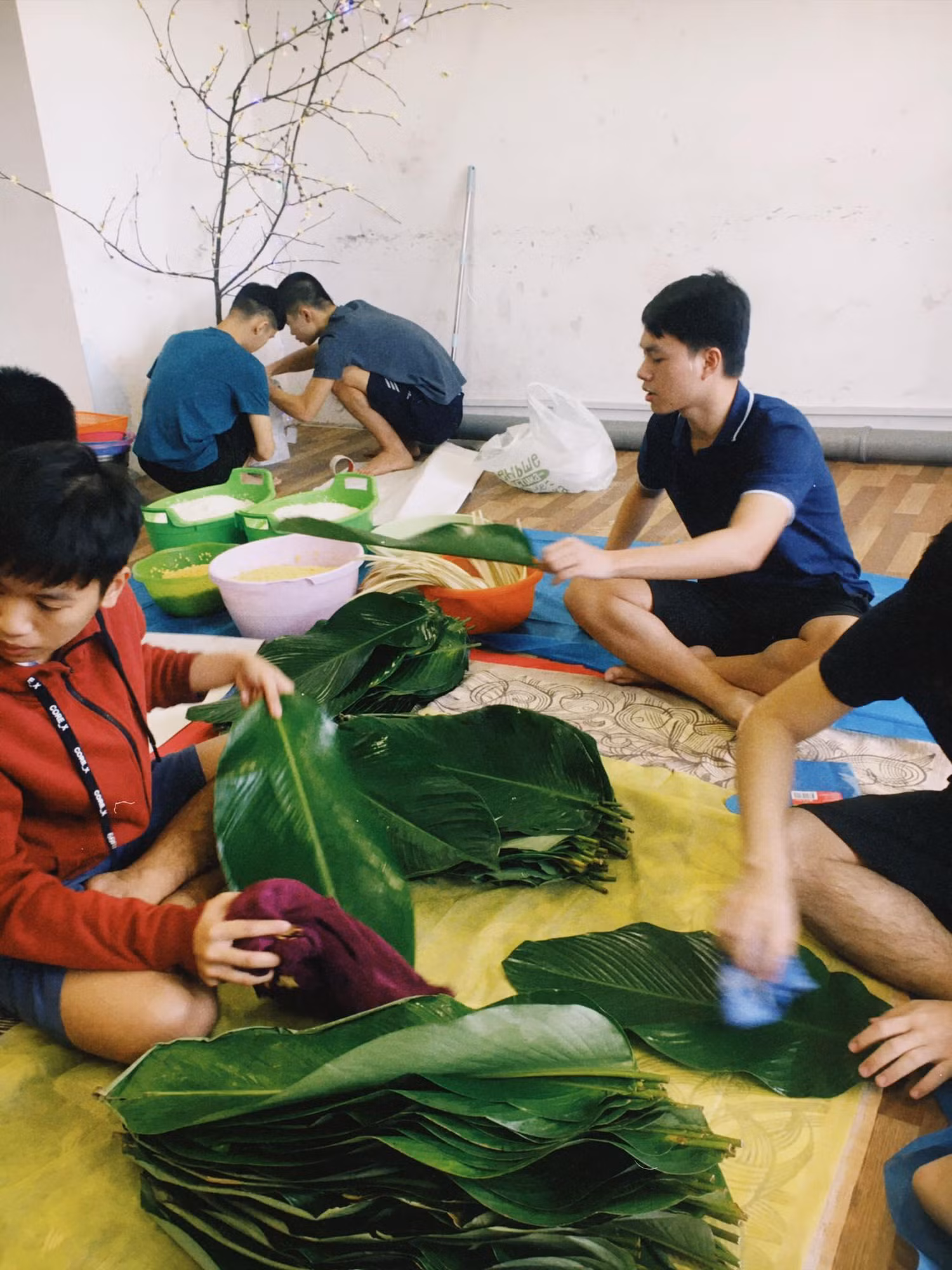 Nhóm du học sinh phân công việc chuẩn bị gói bánh chưng, làm cây đào Tết. Ảnh: Bùi Thị Thanh Hà Nhóm du học sinh phân công việc chuẩn bị gói bánh chưng, làm cây đào Tết. Ảnh: Bùi Thị Thanh Hà