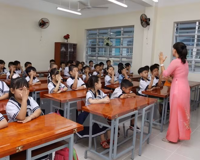 Tại thành tích hay “lỗi thầy mặc sách”? ảnh 3