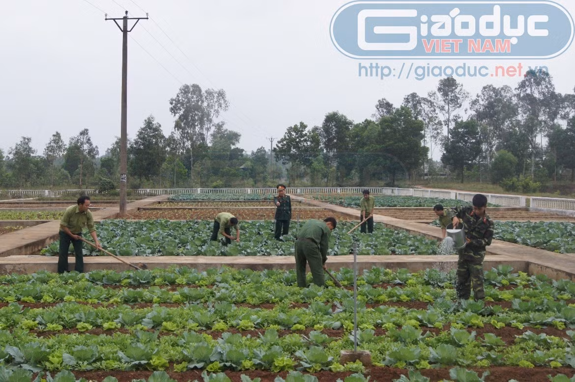 Tích cực tăng gia sản xuất