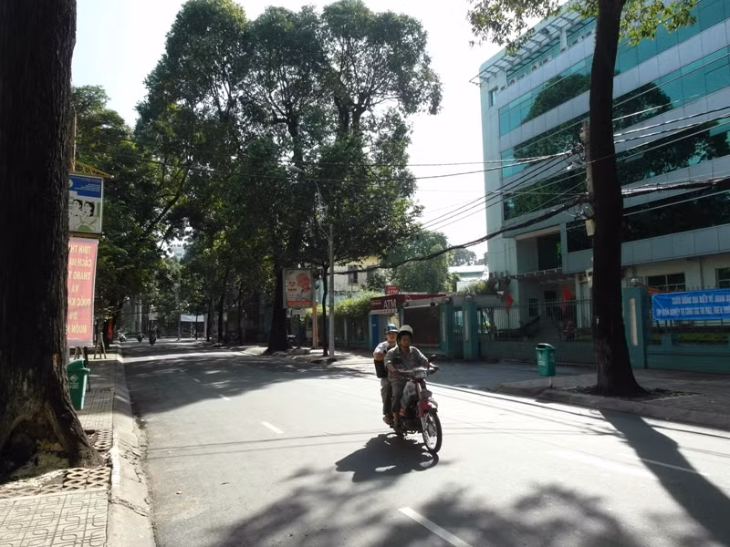 Con đường Võ Văn Tần (Quận 3) quang đãng, rợp bóng cây.