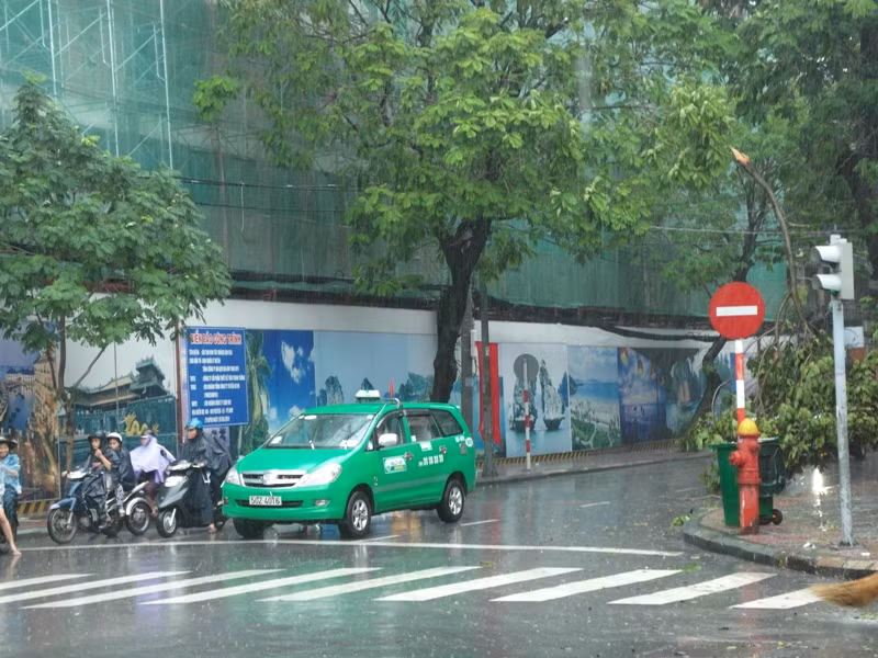 Gió lớn đã làm gãy một cành cây trên đường Pasteur. Cơn mưa chợt đến, chợt đi rất chóng vánh, làm cho không khí ngày lễ càng thêm mát mẻ.