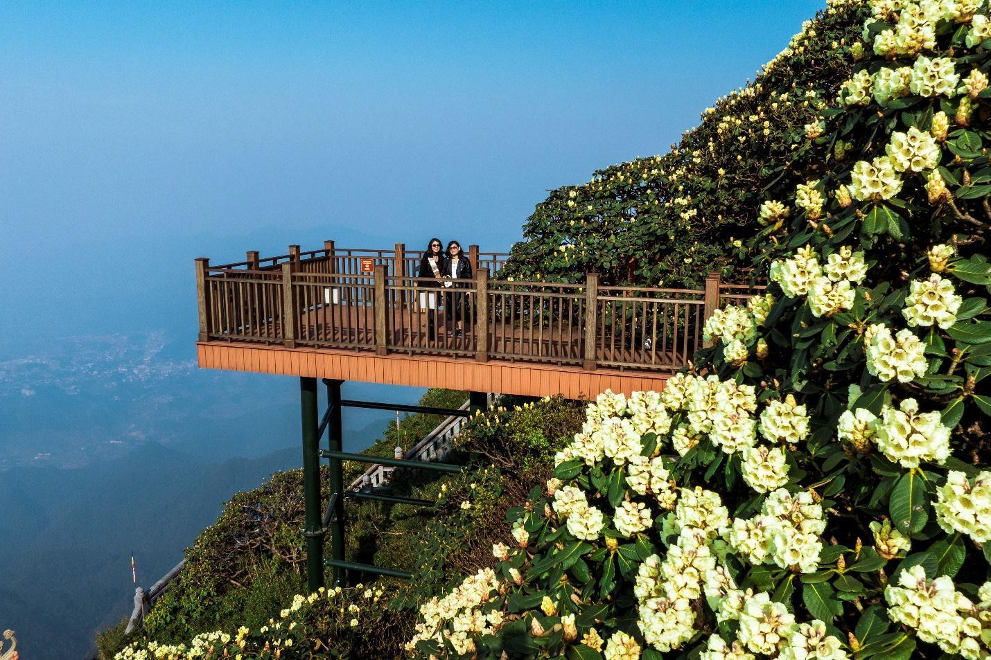 Sau những phút giây thỏa sức ngắm nhìn hoa Đỗ quyên, du khách còn có thể đến khu vực sân ngắm cảnh ở cuối con đường để thu vào tầm mắt toàn cảnh vẻ đẹp hùng vỹ của núi rừng Hoàng Liên Sơn….