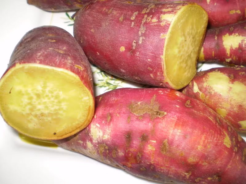 11. Khoai lang: có chứa rất ít hàm lượng calo, không chứa chất béo, giàu chất xơ vì thế rất có lợi cho sức khoẻ. Vào mùa đông, bạn nên tăng cường ăn thêm khoai lang vì nó có chứa hàm lượng lớn beta-carotene, vitamin A. 11. Khoai lang: có chứa rất ít hàm lượng calo, không chứa chất béo, giàu chất xơ vì thế rất có lợi cho sức khoẻ. Vào mùa đông, bạn nên tăng cường ăn thêm khoai lang vì nó có chứa hàm lượng lớn beta-carotene, vitamin A.