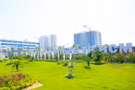 Số lượng giảng viên chênh lệch trong biểu mẫu, Đại học Kinh tế TPHCM lý giải ra sao?