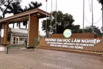 Trường Đại học Lâm nghiệp: Nhiều tiêu chí vượt xa chuẩn, chỉ 2 lĩnh vực chưa có GS,PGS